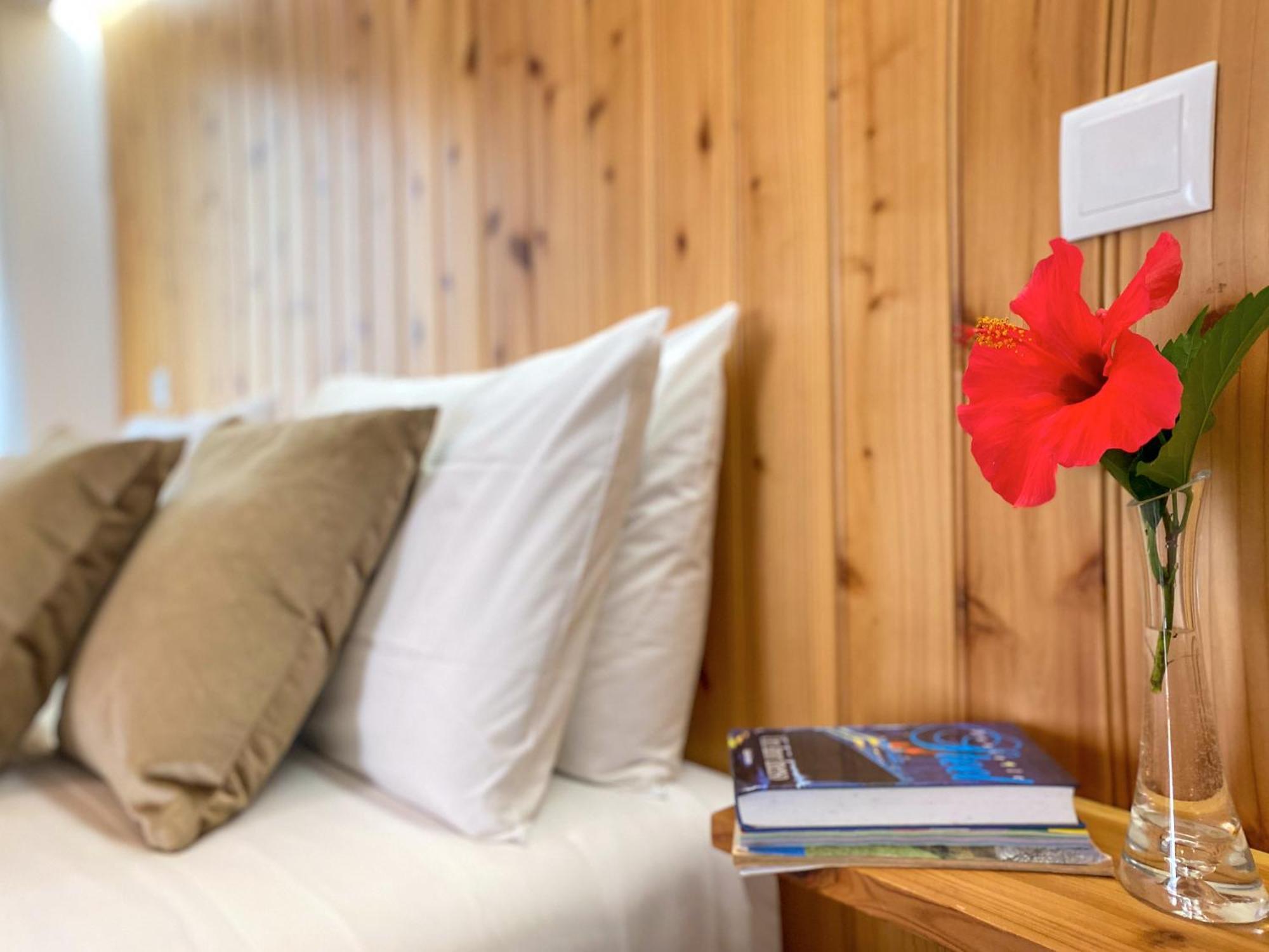 Terra Vivaz - Ribeira Cottage Рибейра-Гранди Экстерьер фото
